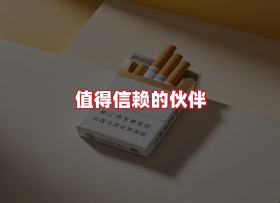 专业团队